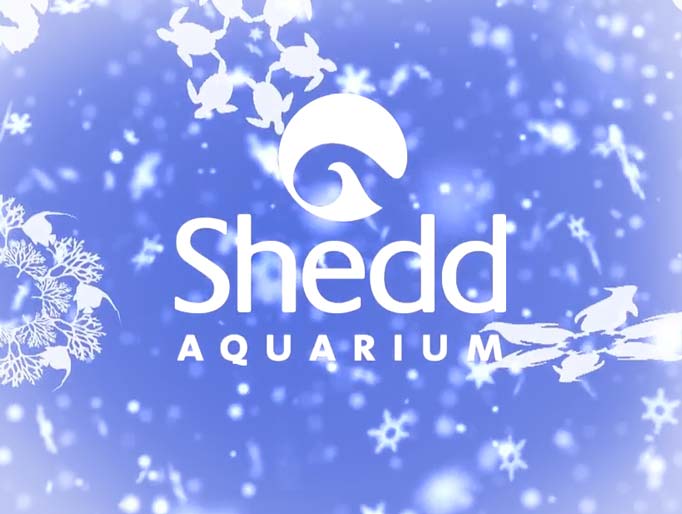 Shedd Aquarium Holiday