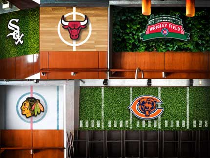 Chicago Sports Themed Vignettes